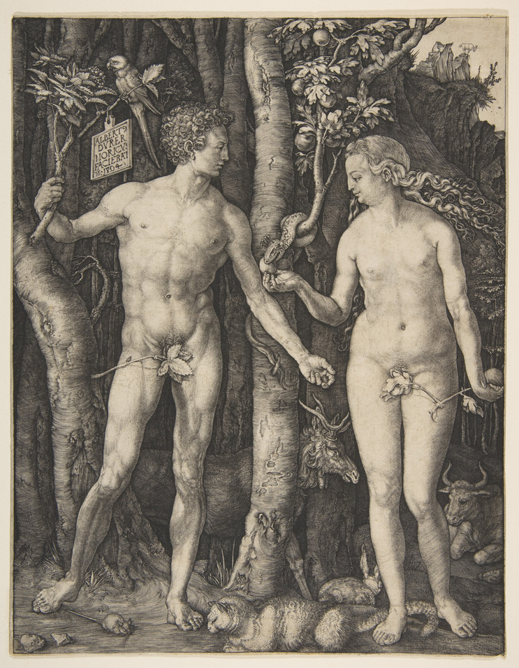 Adam und Eva; Albrecht Dürer